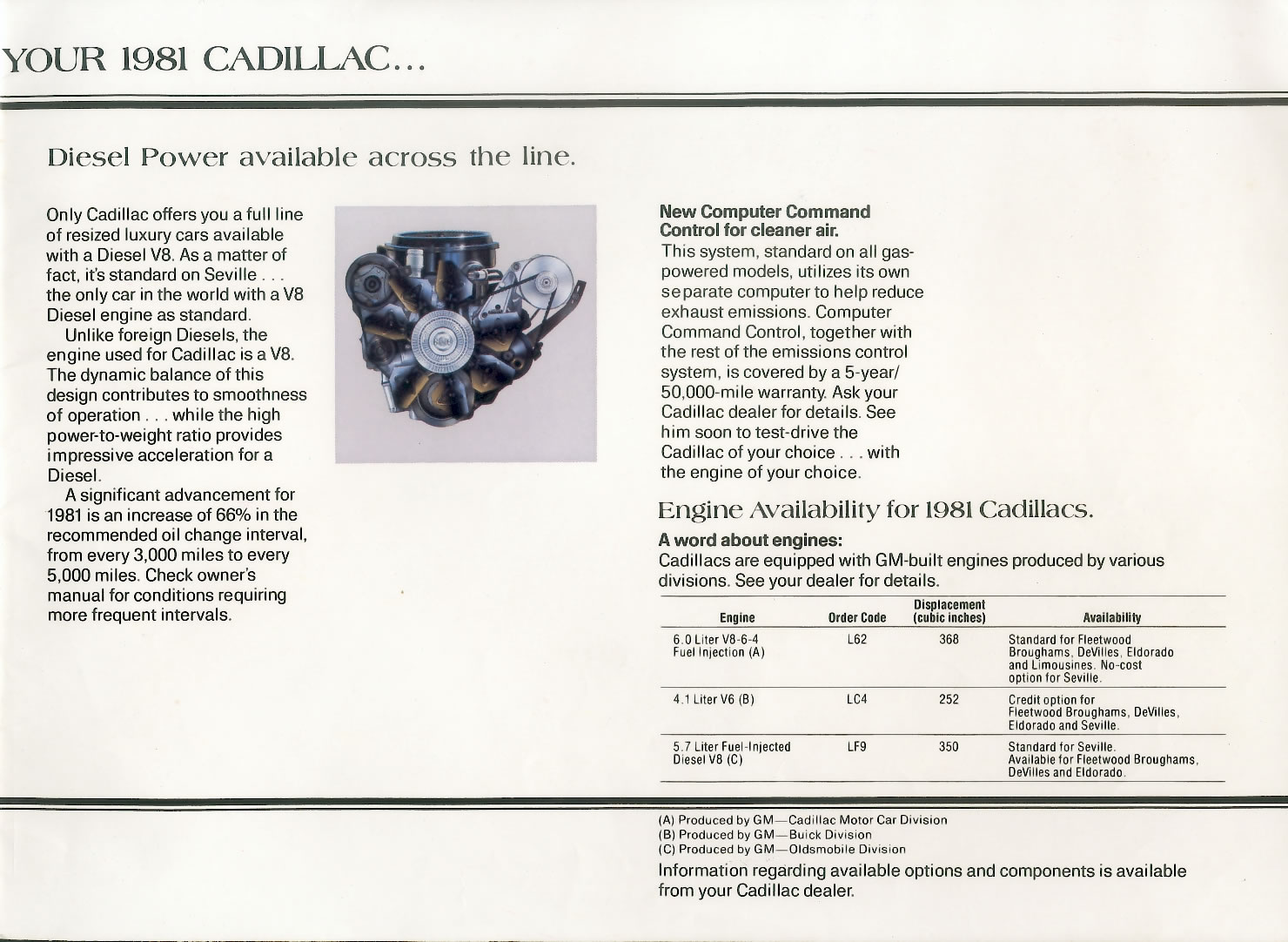 1981 Cadillac Brochure Page 13